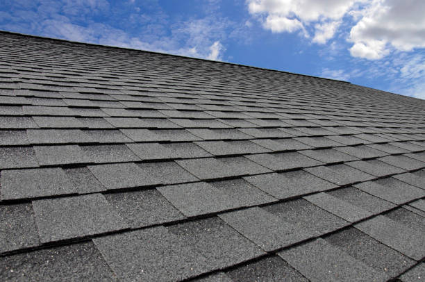 Best Roof Maintenance and Cleaning  in Prospect, KY