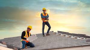 Best Roof Moss and Algae Removal  in Prospect, KY